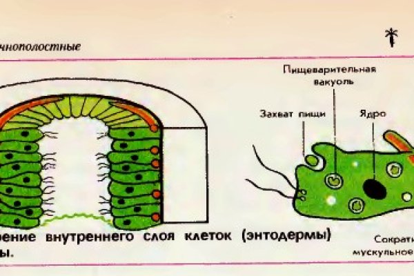 Короткая ссылка на омг