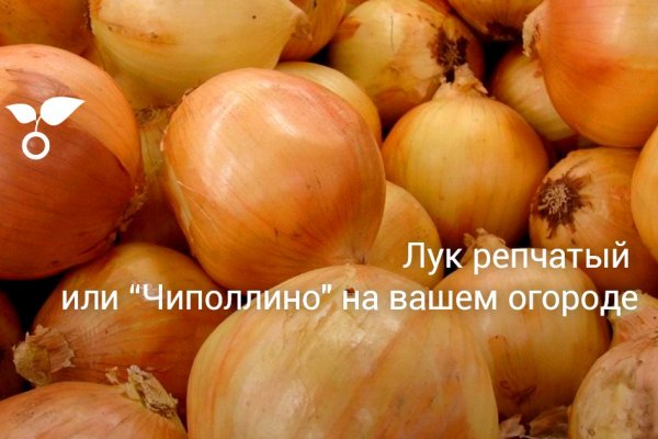 Правильная ссылка на омг